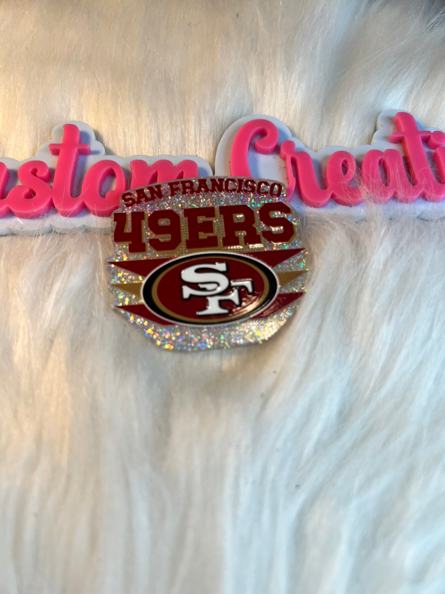 San Francisco 49ers Team