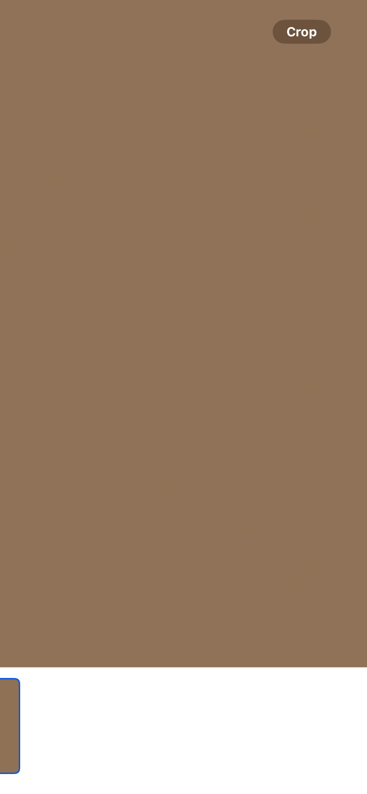 Tan/Coffee Embossed