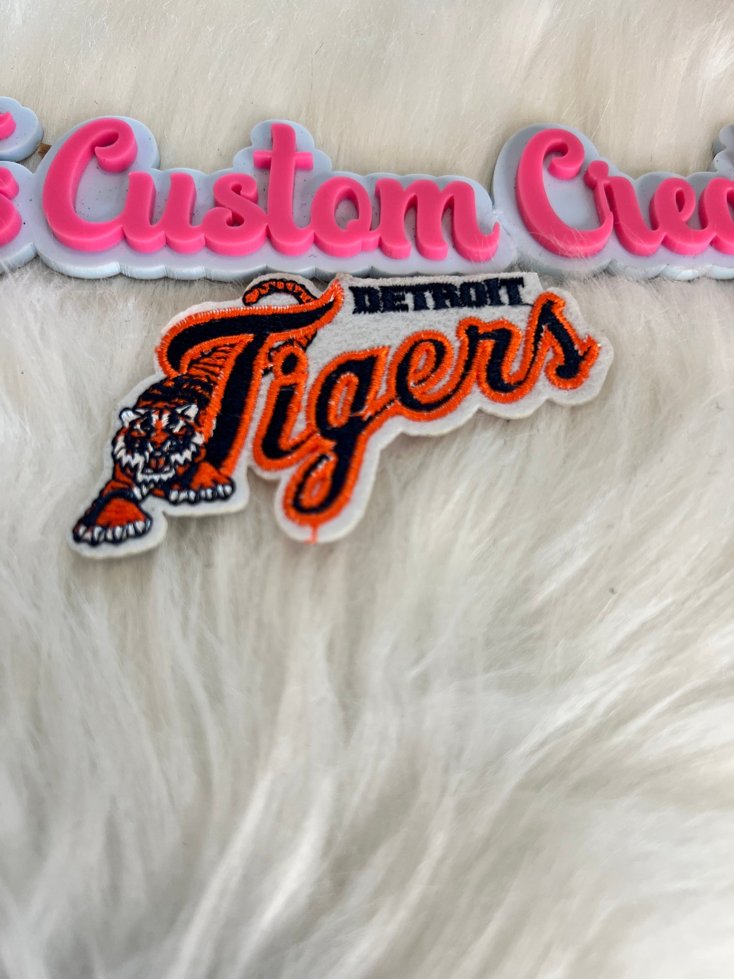 Detroit Tigers Baseball Team
