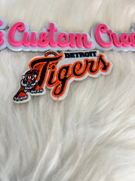 Detroit Tigers Baseball Team