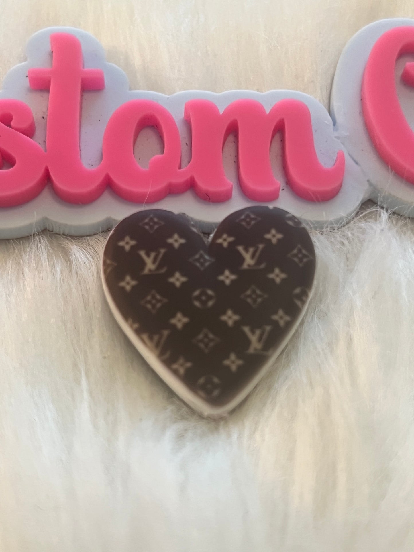 LV Heart Focal