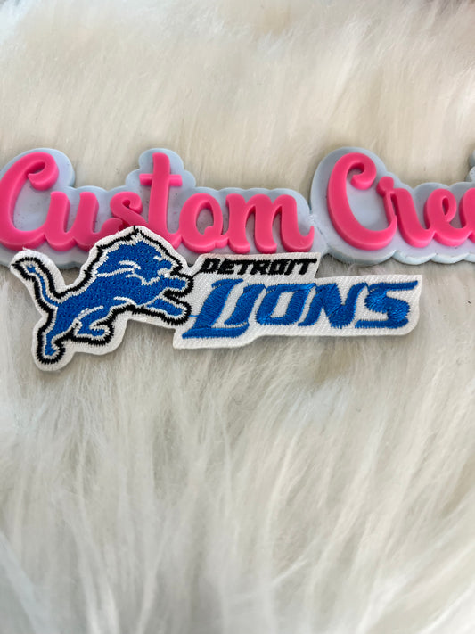 Detroit Lions Team