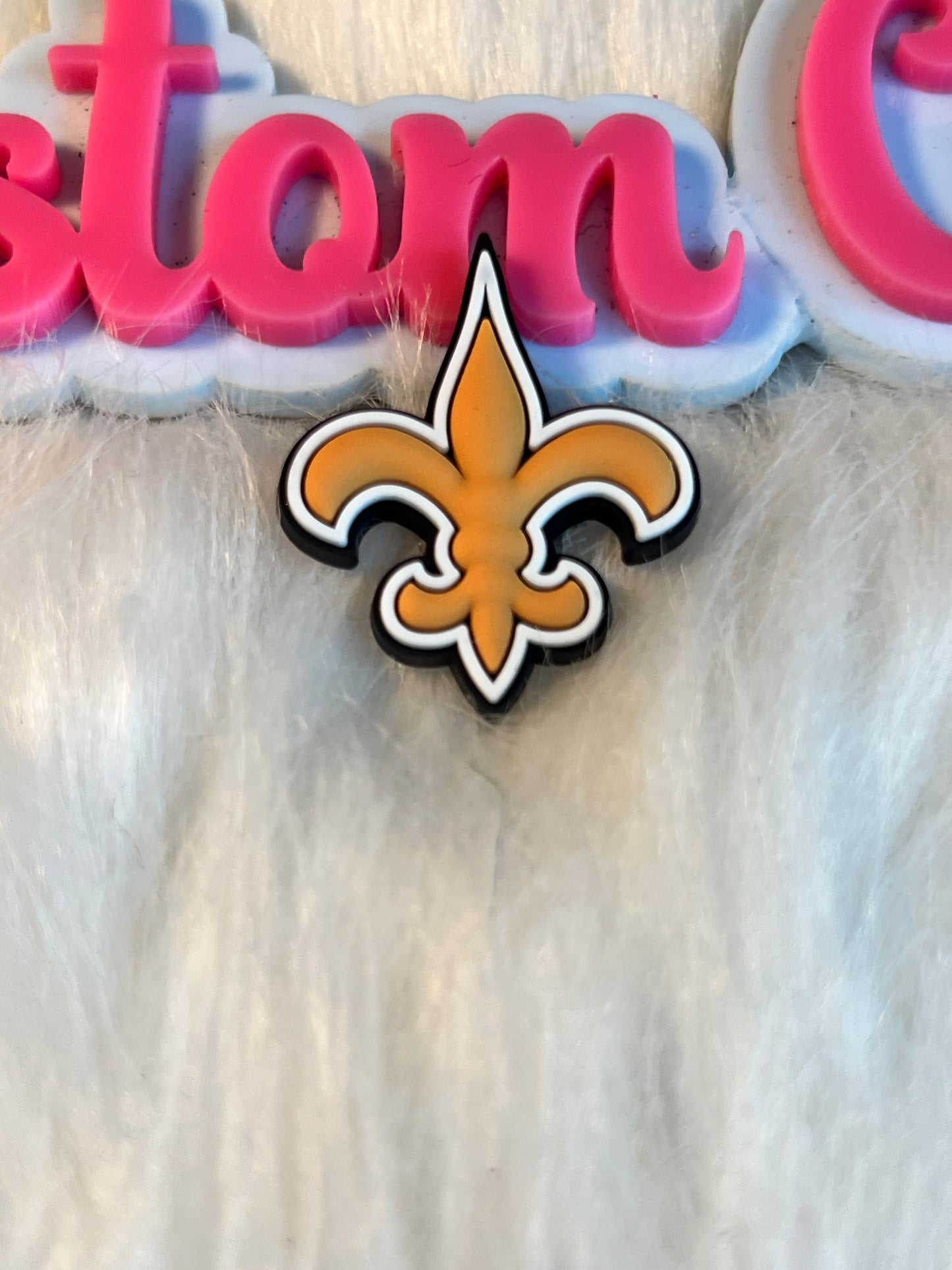 New Orleans Saints Team