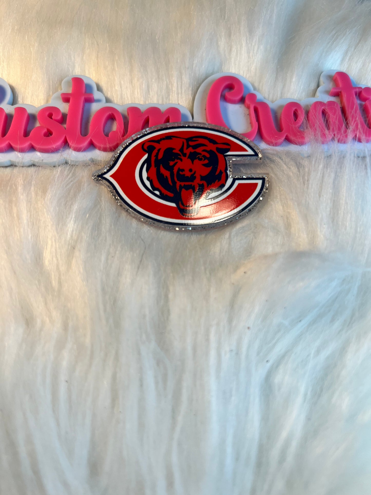 Chicago Bears Team