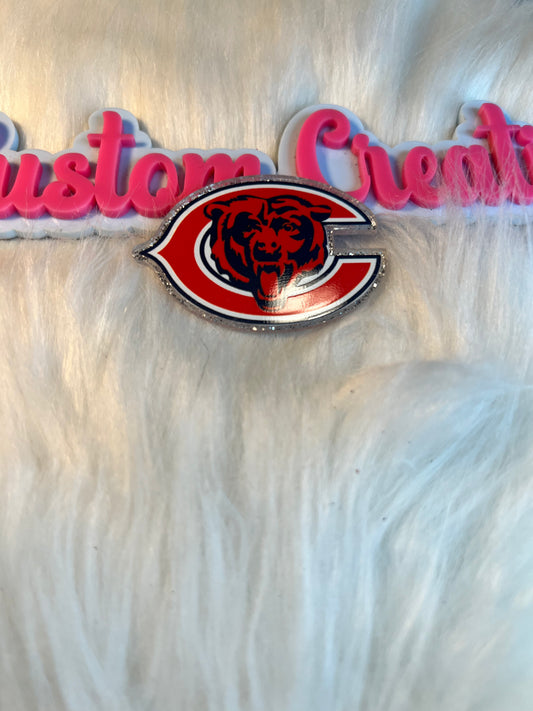 Chicago Bears Team