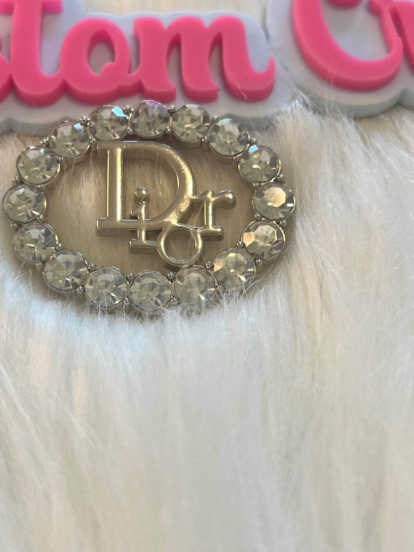 Bling Dior Silver Charm