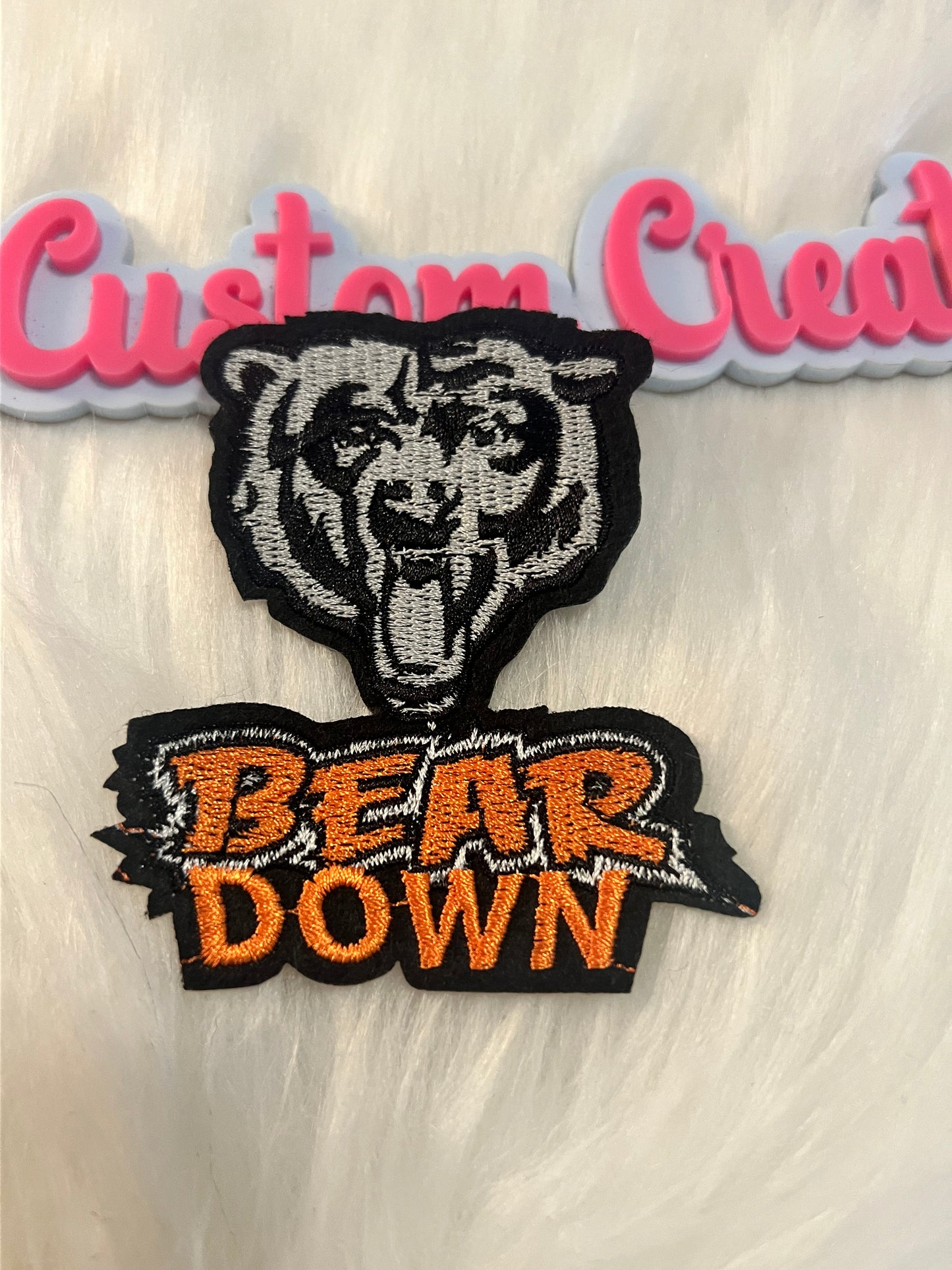 Chicago Bears Down Team